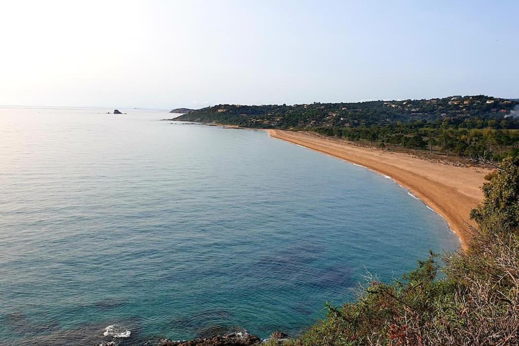 L'Original, Superbe Appartement A 5Min De La Plage Zonza Εξωτερικό φωτογραφία