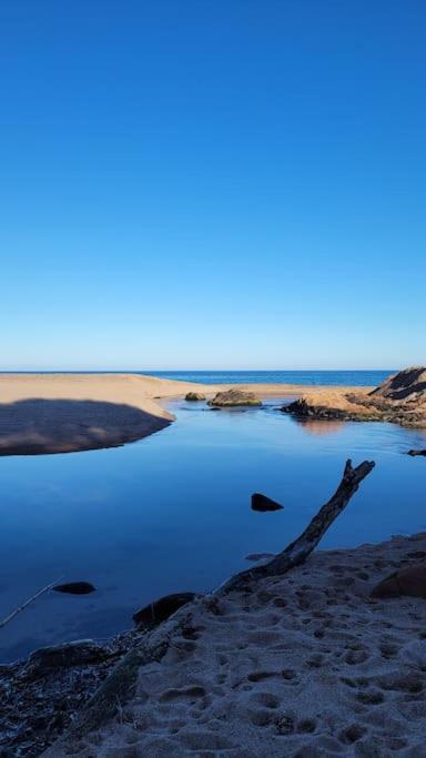 L'Original, Superbe Appartement A 5Min De La Plage Zonza Εξωτερικό φωτογραφία