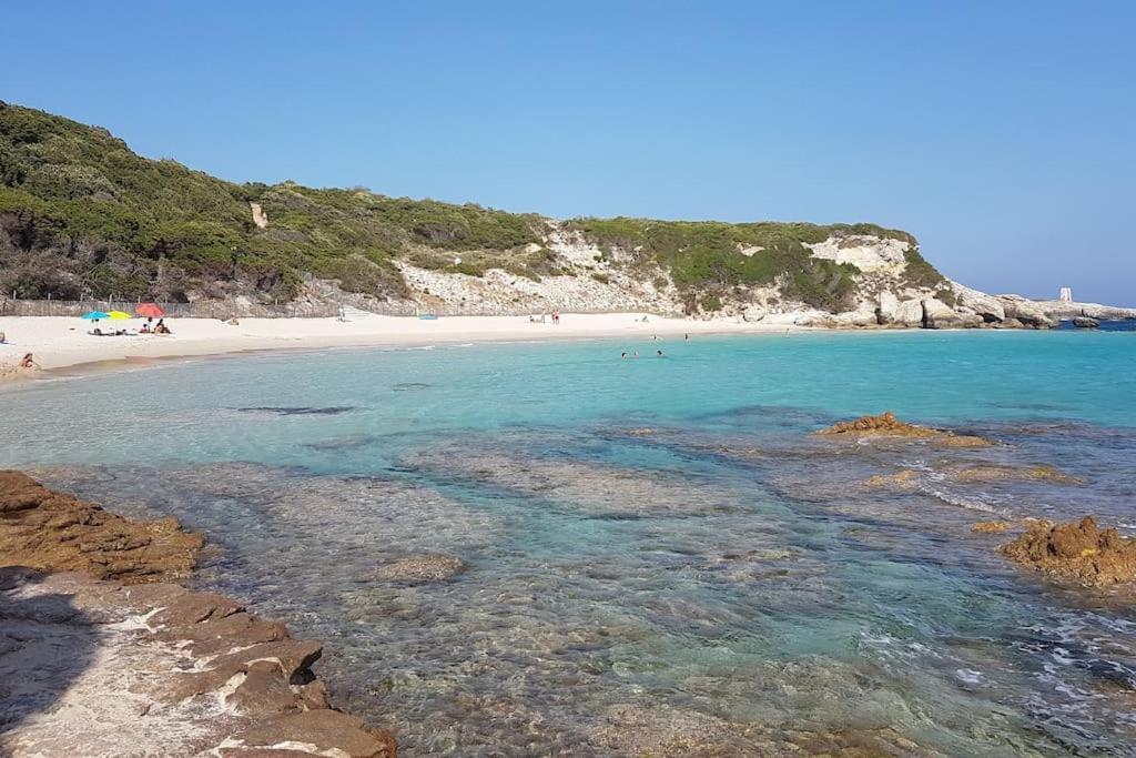 L'Original, Superbe Appartement A 5Min De La Plage Zonza Εξωτερικό φωτογραφία