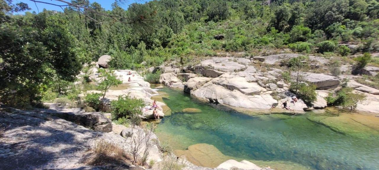 L'Original, Superbe Appartement A 5Min De La Plage Zonza Εξωτερικό φωτογραφία